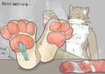 absurd_res bodily_fluids bound canid canine canis clothing duo feet female foot_fetish foot_focus foot_sniffing footwear hi_res lyeponstan male male/male mammal micro paws smelly smelly_feet sniffing socks steam sweat wolf