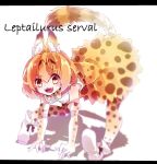  1girl all_fours animal_ear_fluff animal_ears black_bow blonde_hair blush boots bow cat_ears cat_girl cat_tail commentary_request elbow_gloves footwear_bow full_body gloves kemono_friends letterboxed looking_at_viewer open_mouth pantyhose serval_(kemono_friends) shinjitsu_no_kuchi shirt short_hair simple_background sleeveless sleeveless_shirt smile solo tail teeth v-shaped_eyebrows white_background white_boots white_gloves white_shirt yellow_eyes yellow_pantyhose 