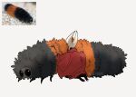 2025 ambiguous_gender anthro arthropod artist_logo black_body black_eyes black_fur caterpillar cloak clothing duo face_in_fur female_(lore) feral fluffy fur hi_res hollow_knight_(franchise) hornet_(hollow_knight) hug insect isabella_tiger_moth kneeling larva lepidopteran logo mandibles moth multicolored_body multicolored_fur orange_body orange_fur red_cloak red_clothing reference_image serpentine side_view simple_background snakedraws striped_body striped_fur stripes team_cherry three-quarter_view tiger_moth white_background white_body