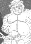  2021 amekomi_lover anthro balls belly blush bodily_fluids chain chained erection felid genitals hi_res kemono male mammal moobs nipples overweight overweight_anthro overweight_male pantherine penis solo sweat tiger 
