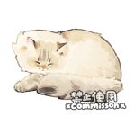  animal animal_focus cat closed_eyes colorpoint_(pattern) commission curled_up fluffy full_body lying lynx_point no_humans original siberian_forest_cat simple_background sleeping solo tabby_cat watermark white_background xiao_bo_kuai_kuai 