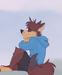  anthro bottomwear canid canine clothed clothing eyes_closed fox fully_clothed hoodie male mammal multicolored_body shorts sitting smile solo topwear voltdraws 