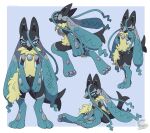  1other absurdres animal_ears black_fur blue_eyes blue_fur body_fur closed_mouth commentary_request full_body furry highres looking_at_viewer lucario mega_lucario_z mega_pokemon mochiri_(mochiri_work) multicolored_fur multiple_views one_eye_closed other_focus pokemon pokemon_(creature) pokemon_focus pokemon_legends:_z-a sitting tail yellow_fur 