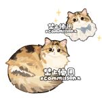  animal animal_focus blue_bow blue_bowtie bow bowtie cat collar commission cropped_head curled_up fluffy full_body lace_collar looking_at_viewer lying multiple_views no_humans on_side original simple_background solo_focus sparkle tortico_cat tortoiseshell_cat watermark white_background white_collar xiao_bo_kuai_kuai yellow_eyes 