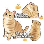 animal animal_focus apple cat commission curled_up food from_behind fruit full_body hugging_own_legs looking_at_viewer multiple_views no_humans original simple_background sitting tabby_cat watermark white_background xiao_bo_kuai_kuai yellow_cat yellow_eyes 