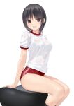  1girl aoyama_sumika black_hair brown_eyes buruma coffee-kizoku commentary_request feet_out_of_frame gym_shirt gym_uniform highres original red_buruma shirt short_hair simple_background sitting smile solo t-shirt white_background white_shirt 