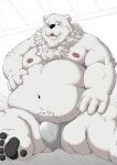  2021 anthro asian_clothing belly bulge chobikuma clothing digital_media_(artwork) east_asian_clothing eyewear fundoshi fur glasses hi_res humanoid_hands japanese_clothing kemono male mammal moobs navel nipples one_eye_closed overweight overweight_anthro overweight_male polar_bear shaded sitting solo underwear ursid ursine white_body white_fur wink 