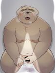  2021 anthro belly blush bodily_fluids canid canine canis censored cum cum_on_face cum_on_ground domestic_dog genital_fluids genitals hi_res humanoid_genitalia humanoid_hands humanoid_penis kemono male male/male mammal masturbation moobs namihira_kousuke navel nipples overweight overweight_male penis solo_focus sv_grart trouble_(series) 