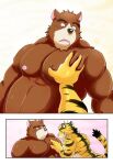  2_panel_comic anthro bear black_nose duo felid fur juuichi_mikazuki male male/male mammal morenatsu musclegut muscular muscular_male nipples pantherine pink_ears pink_nipples simple_background striped_body striped_fur stripes tiger torahiko_(morenatsu) wo 