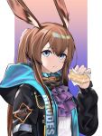  1girl absurdres amiya_(arknights) animal_ears arknights blue_eyes brown_hair bunny_ears closed_mouth doughnut eating eyebrows_visible_through_hair food highres holding holding_food hood hooded_jacket jacket long_hair looking_at_viewer multicolored multicolored_clothes multicolored_jacket ponytail rhodes_island_logo rivet_vvrn simple_background solo 