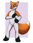  3_fingers 3_toes 5_fingers ambiguous_gender anthro brown_eyes canid canine feet fingers fox fur hi_res mammal mid_transformation orange_body orange_fur plushie plushification simple_background solo standing toes tomek1000 