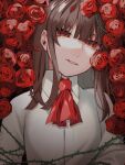  1girl ascot bangs blunt_bangs breasts brown_hair collarbone commentary_request flower grey_shirt ib ib_(ib) long_hair looking_at_viewer niwatori_panda plant red_eyes red_flower red_neckwear red_rose rose shirt solo thorns upper_body 