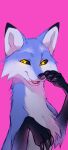 2022 ambiguous_gender azzai big_claws black_claws black_markings black_nose black_sclera blue_body blue_fur canid canine cheek_tuft chest_tuft claws colored colored_sketch cute_fangs digital_drawing_(artwork) digital_media_(artwork) facial_tuft fangs feral fox fur looking_away mammal markings nude open_mouth pink_background shaded simple_background sketch smile solo teeth tuft yellow_eyes