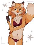 anthro bikini biped black_eyes black_hands canid canine clothing eyebrow_through_hair eyebrows female fluffy fluffy_ears fluffy_tail fox hair hhonchkrow234 hi_res hibiscus_(hhonchkrow234) long_hair long_tail mammal multicolored_body navel open_mouth orange_body orange_hair red_bikini red_clothing red_swimwear simple_background solo standing swimwear tail translucent translucent_hair two-piece_swimsuit two_tone_body white_body