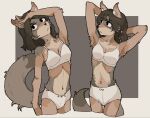 anthro biped black_eyes black_hair bra brown_body canid canine canis clothing coyote female fluffy grey_body grey_tail hair hand_behind_head hand_on_head hhonchkrow234 hi_res mammal multicolored_body navel raised_arms solo standing tail two_tone_body underwear white_clothing