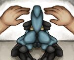  anthro anus balls butt canid canine first_person_view genitals hi_res humanoid_hands lucario male mammal nintendo pok&eacute;mon pok&eacute;mon_(species) presenting raised_tail rear_view solo solo_focus syndhart video_games 