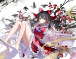  1girl ascot barefoot bird bird_on_hand bow brown_eyes brown_hair camellia commentary detached_sleeves flower frilled_bow frilled_hair_tubes frilled_skirt frills green_bird hair_bow hair_tubes hakurei_reimu long_hair looking_at_viewer purple_ascot red_bow red_flower red_skirt ribbon-trimmed_skirt ribbon-trimmed_sleeves ribbon_trim sakizaki_saki-p skirt skirt_set solo thighs touhou watermark 