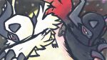  absol absurdres animal_focus asymmetrical_horns black_fur blue_horns bright_pupils claws full_body grey_background hair_over_one_eye highres horns looking_at_another mega_absol mega_absol_z mega_pokemon metikyun neck_fur no_humans one_eye_covered pokemon pokemon_(creature) pokemon_focus red_eyes red_wings simple_background single_wing uneven_horns white_fur white_pupils white_wings wings 