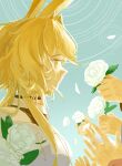  1girl absurdres animal_ears arknights blonde_hair blue_background chinese_commentary commentary_request dorothy_(arknights) dress expressionless fishbud flower from_side gardenia_(flower) highres holding holding_flower mouse_ears mouse_girl people profile rose simple_background solo_focus upper_body white_dress white_flower white_rose yellow_eyes 