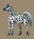  2015 absurd_res ambiguous_gender arabian black_spots equid equine feral hair hi_res hooves horse mammal solo spacesmilodon spots whiskers white_body white_hair 