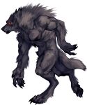  animal_genitalia anthro biceps canid canine canis genitals hi_res male mammal muscular muscular_anthro muscular_male nmvsolidus nude pecs sheath simple_background solo were werecanid werecanine werewolf white_background wolf 