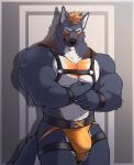 2026 anthro arm_tuft artist_name barazoku blue_eyes bulge canid canine claws clothing digital_media_(artwork) elbow_tuft finger_claws fullbodywolf fur hair harness hi_res jockstrap leather leather_harness looking_at_viewer male mammal multicolored_body multicolored_fur muscular muscular_anthro muscular_male neck_tuft pecs pointy_ears portrait prick_ears signature solo tail text three-quarter_portrait tuft underwear