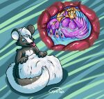 abdominal_bulge anthro anthro_pred anthro_prey avian avian_feet beak biped bird blue_body bodily_fluids eyes_closed feathered_crest feathered_wings feathers femboy galliform green_eyes gyro_feather gyrotech head_crest hi_res internal male male_pred male_prey mammal mephitid organs peafowl phasianid pink_body same_size_vore skunk stomach stomach_acid tail tail_feathers tongue tongue_out vore winged_arms wings