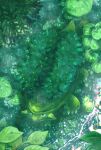  budew dew_drop forest from_above green_theme grotle highres nature no_humans outdoors plant pokemon pokemon_(creature) pokemon_focus wakamiya water water_drop 