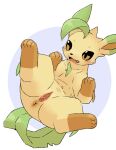 2026 4_fingers 4_toes anus black_nose blue_background blush blush_lines brown_body brown_eyes brown_fur brown_inner_ear canid cheek_tuft digital_drawing_(artwork) digital_media_(artwork) dipstick_ears ear_markings eeveelution facial_tuft fangs feet female female_feral feral fingers fur generation_4_pokemon genitals glistening glistening_eyes glistening_genitalia glistening_vulva gloves_(marking) green_ear_tips green_tail hi_res humanoid_genitalia humanoid_genitalia_on_feral humanoid_vulva humanoid_vulva_on_feral leaf leaf_hair leaf_tail leafeon leg_markings mammal markings multicolored_body multicolored_ears multicolored_fur nintendo open_mouth paws plant plant_hair pokemon pokemon_(species) pseudo_hair pu_sukebe quadruped simple_background socks_(marking) solo spread_legs spreading tail tan_body tan_fur teeth toes tuft two_tone_body two_tone_fur vulva white_background
