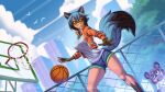  2021 alanscampos anthro ball basketball_(ball) basketball_hoop black_hair black_nose blue_body blue_fur blue_hair bottomwear brand_new_animal breasts brown_body brown_fur canid canine clothed clothing digital_media_(artwork) duo facial_markings female fence fur gym_bottomwear gym_clothing gym_shorts hair head_markings hi_res jacket jackie_(brand_new_animal) looking_aside mammal markings mask_(marking) michiru_kagemori multicolored_hair raccoon_dog shorts smile solo_focus studio_trigger tanuki topwear 