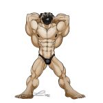 1:1 absurd_res alpha_channel anthro barazoku canid canine canis domestic_dog flexing hi_res hyper lakhanto male mammal molosser muscular pug small_molosser solo toy_dog