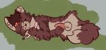 anatomically_correct anatomically_correct_genitalia anatomically_correct_penis animal_genitalia animal_penis balls brown_balls brown_body brown_fur collar domestic_cat fan_character felid feline feline_genitalia feline_penis felis feral full-length_portrait fur genitals hi_res holding_collar holding_object leafwing_(artist) male male_feral mammal penile_spines penis pink_collar portrait solo warriors_(book_series)