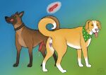 absurd_res ako_(maklykan) anatomically_correct anatomically_correct_genitalia anatomically_correct_penis anatomically_correct_vulva animal_genitalia animal_penis animal_vulva anus bird_dog blue_background blue_eyes bodily_fluids brown_body canid canine canine_genitalia canine_penis canine_vulva canis clubs_(suit) collar cum cum_dripping_from_penis cum_from_vagina cum_in_vagina cum_inside curled_tail diamond_(marking) domestic_dog duo female feral fur genital_fluids genitals german_shepherd golden_retriever green_background green_eyes green_scarf heart_nose heart_symbol herding_dog hi_res hunting_dog internal iva_(maklykan) knot knotting maklykan male male/female malinois_dog mammal markings molosser mountain_dog orange_body orange_fur pastoral_dog penis raised_tail retriever saint_bernard scar scarf sheepdog simple_background spiked_collar spikes suit_symbol tail tongue tongue_out vulva white_body white_fur
