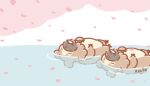  artist_name asakoline bidoof buck_teeth cloud falling_petals lying no_humans on_back petals pokemon pokemon_(creature) pokemon_focus swimming teeth 