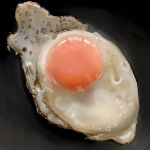  egg_(food) food food_focus fried_egg highres no_humans original yasuta_kaii32i 