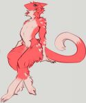  2021 anthro blue_eyes digitigrade fur hi_res male neck_tuft nipples raptoral raptoral_(character) red_body red_fur sergal shoulder_tuft simple_background sitting solo tuft white_body white_fur 