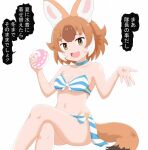 1girl animal_ears bikini blush breasts brown_hair commentary dhole_(kemono_friends) dog_ears dog_girl dog_tail extra_ears food highres japari_bun japari_symbol kemono_friends kemono_friends_3 looking_at_viewer medium_breasts multicolored_hair open_mouth short_hair shrugging smile striped_bikini striped_clothes swimsuit tail tomoegatadouki translated two-tone_hair white_hair 