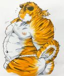  2021 anthro asian_clothing belly blush bulge butt clothing east_asian_clothing felid fundoshi fur hi_res japanese_clothing kemono male mammal moobs navel nipples overweight overweight_anthro overweight_male pantherine solo suishou0602 tiger underwear white_body white_fur yellow_body yellow_fur 
