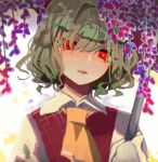  1girl ascot bangs collared_shirt flower green_hair highres holding holding_umbrella kazami_yuuka long_sleeves looking_at_viewer parted_lips purple_flower red_eyes red_vest shi_chimi shirt short_hair solo touhou umbrella upper_body vest white_shirt wisteria yellow_neckwear 