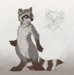  2021 anthro black_nose brown_body brown_fur cheek_tuft facial_tuft featureless_crotch fur grey_body grey_fur head_tuft hi_res inner_ear_fluff kebi mammal neck_tuft nude procyonid raccoon simple_background solo standing tuft whiskers white_background 