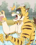  2026 4:5 abs absurd_res anthro brown_body brown_fur brown_stripes countershade_arms countershade_face countershade_torso countershading dipstick_ears ear_markings felid fur hi_res male mammal markings morenatsu multicolored_body multicolored_ears multicolored_fur muscular muscular_anthro muscular_male pantherine pawpads pecs pink_nose pink_pawpads solo striped_body striped_fur stripes swimming_pool tail tan_body tan_countershading tan_fur tiger torahiko_ooshima voitman2024 yellow_body yellow_fur 