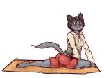  4:3 alpha_channel anthro black_hair blush bottomwear bulge clothed clothing domestic_cat ears_up felid feline felis fluffy fluffy_ears fluffy_hair fluffy_tail fur grey_body grey_fur gym_bottomwear gym_clothing gym_shorts hair hi_res hoodie looking_at_viewer male mammal on_ground pan_red pawpads paws short_hair shorts simple_background solo stretching topwear transparent_background yoga yoga_mat 
