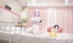  1girl absurdres azur_lane bed belfast_(azur_lane) blush breasts cardiogram character_doll clipboard clock closed_eyes closed_mouth couch curtains doll dress elbow_gloves eyelashes flower_in_eye game_asset garter_straps gloves hat highres holding holding_clipboard holding_pencil huge_breasts indoors kneeling lanyard logo long_hair looking_at_viewer manjuu_(azur_lane) multicolored_hair non-web_source nurse_cap official_alternate_costume official_art ohisashiburi open_mouth pencil pink_eyes pink_hair plant plymouth_(an_angelic_physical)_(azur_lane) plymouth_(azur_lane) potted_plant self-datamine short_sleeves smile solo streaked_hair symbol_in_eye teeth thighhighs thighs ulrich_von_hutten_(azur_lane) upper_teeth_only wall_clock white_dress white_garter_straps white_gloves white_hat white_thighhighs 