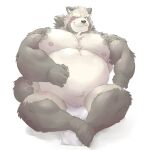  2021 anthro asian_clothing belly blush bulge canid canine clothing east_asian_clothing fundoshi gyobu hi_res humanoid_hands japanese_clothing kemono male mammal meimei_kia moobs nipples overweight overweight_anthro overweight_male raccoon_dog simple_background sitting solo tanuki tokyo_afterschool_summoners underwear video_games white_background 