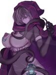  1girl breasts brown_hair calamity_(terraria_mod) cloak commentary_request dot_nose fishnet_gloves fishnet_top fishnets genderswap genderswap_(mtf) gloves highres hood hooded_cloak humanization lantern large_breasts looking_at_viewer nipples pink_eyes purple_cloak purple_eyes signus_envoy_of_the_devourer simple_background tentacles terraria white_background yueer 