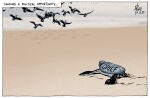 2025 accessory ambiguous_gender avian beach bird blurred_background dated david_pope english_text eyewear feral flying glasses group hungry necktie quadruped reptile sand scalie sea_turtle text turtle