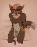 2026 4_toes anthro aroused balls blush canid canine canis chastity_cage chastity_cage_only chastity_device chastity_device_only claws feet flat_chastity_cage fur genitals hair hi_res high-angle_view looking_at_viewer male male_anthro mammal markings navel neck_tuft nipples nude nude_anthro nude_male seraphictiger simple_background sitting smile solo tail teeth toes tuft wearing_chastity_cage wearing_chastity_device wolf