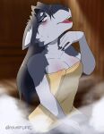 anthro bodily_fluids canid canine canis domestic_dog female hi_res husky inside mammal nordic_sled_dog sauna solo spitz sweat towel towel_only vanessa_(yampuff) wood yampuff