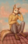  2021 anthro barefoot building canid canine clothed clothing cloud day detailed_background fully_clothed fur hi_res inner_ear_fluff looking_at_viewer male mammal neck_tuft outside signature sky smile solo tan_body tan_fur tuft yshanii 