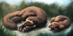  2021 brown_body brown_fur day duo fur grass hi_res kebi light lighting looking_at_another mammal marten mustelid musteline outside pine_marten plant 